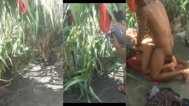 Dehati Bhabhi Ka Outdoor Mms Devar Ke Sath Hindi